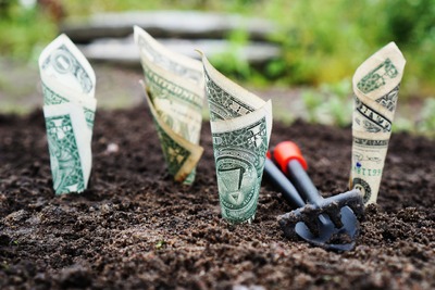 Letter to a Young Entrepreneur